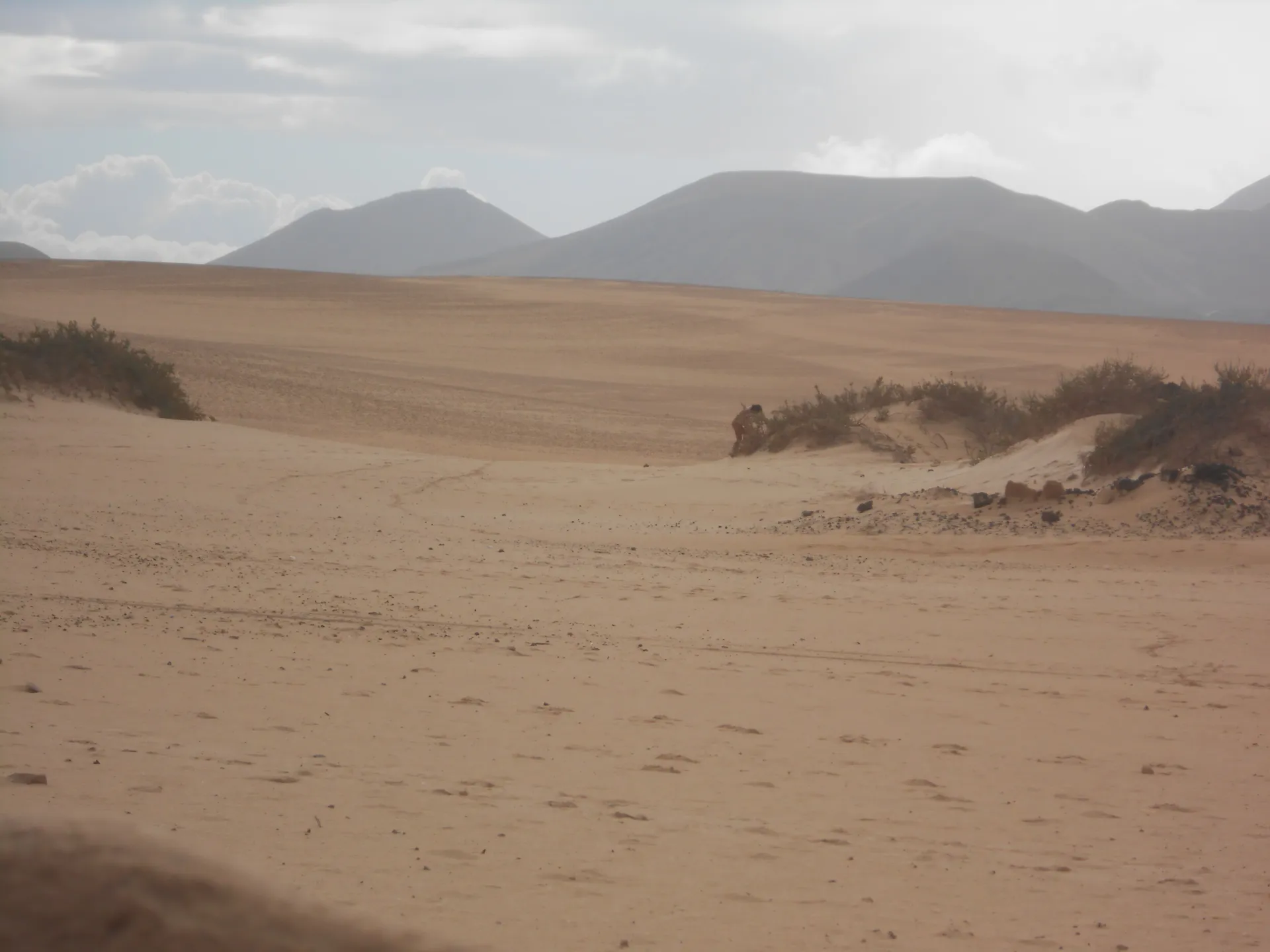 Fuertaventura