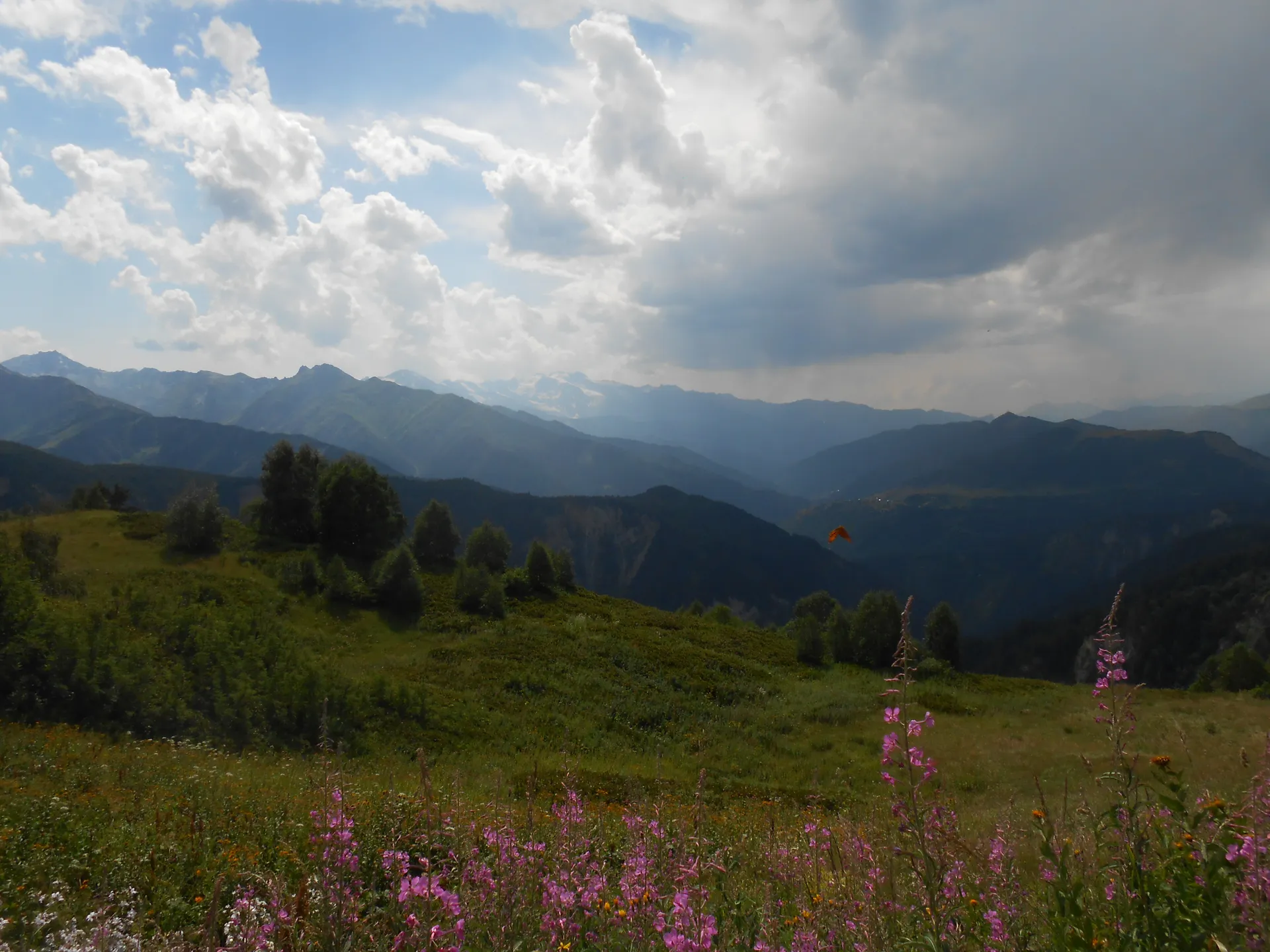 Gruzja