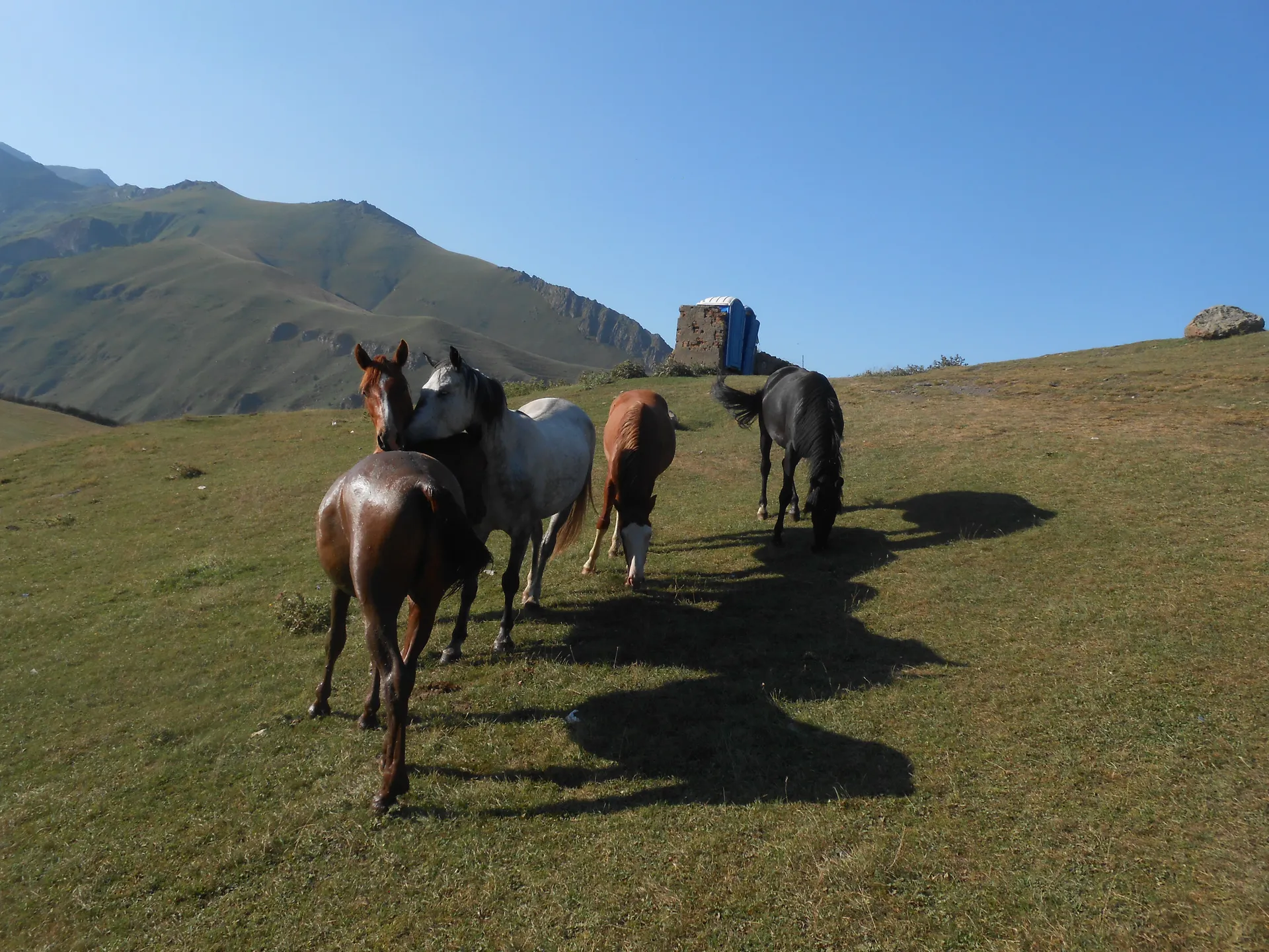 Gruzja