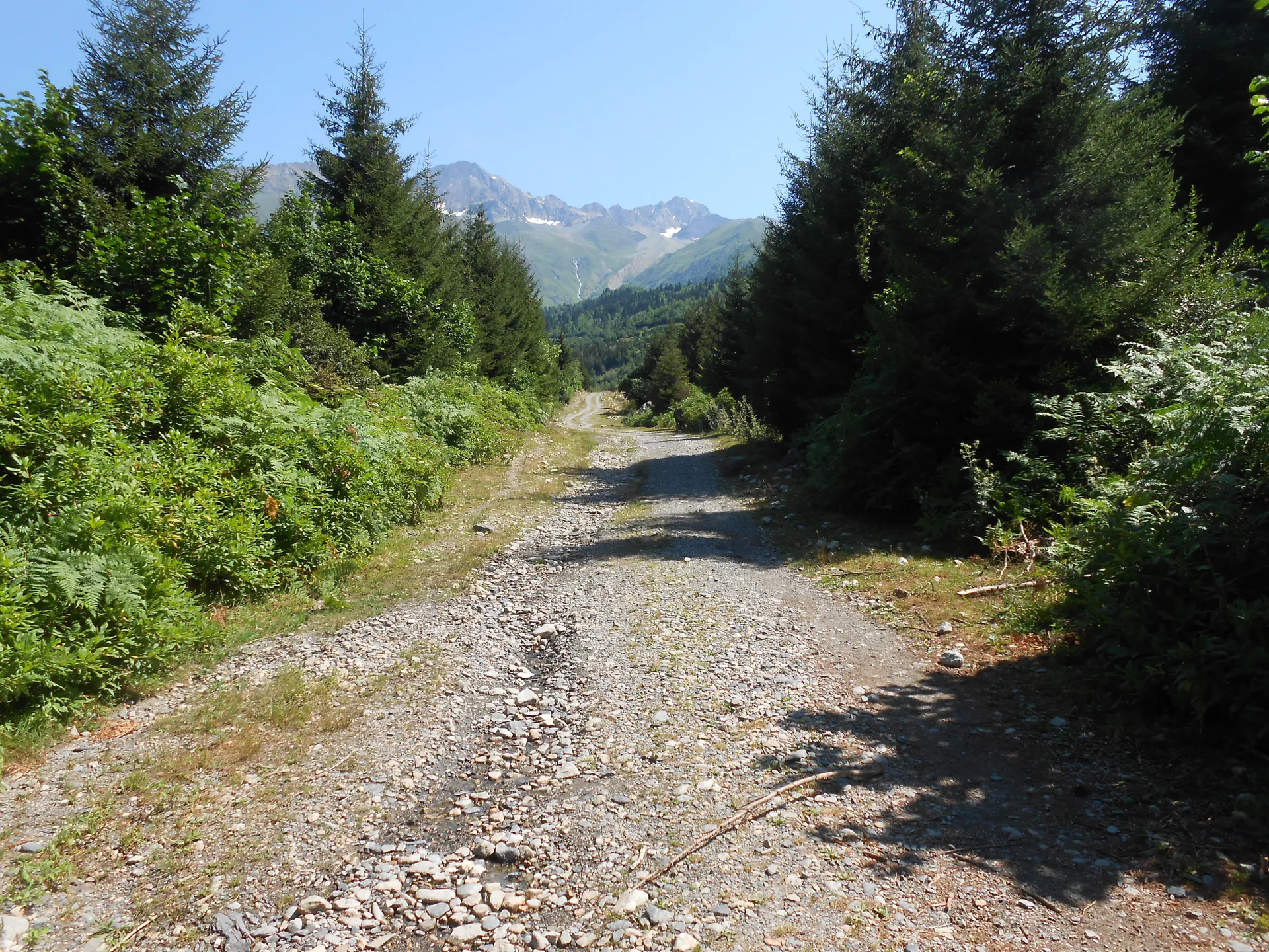 Gruzja