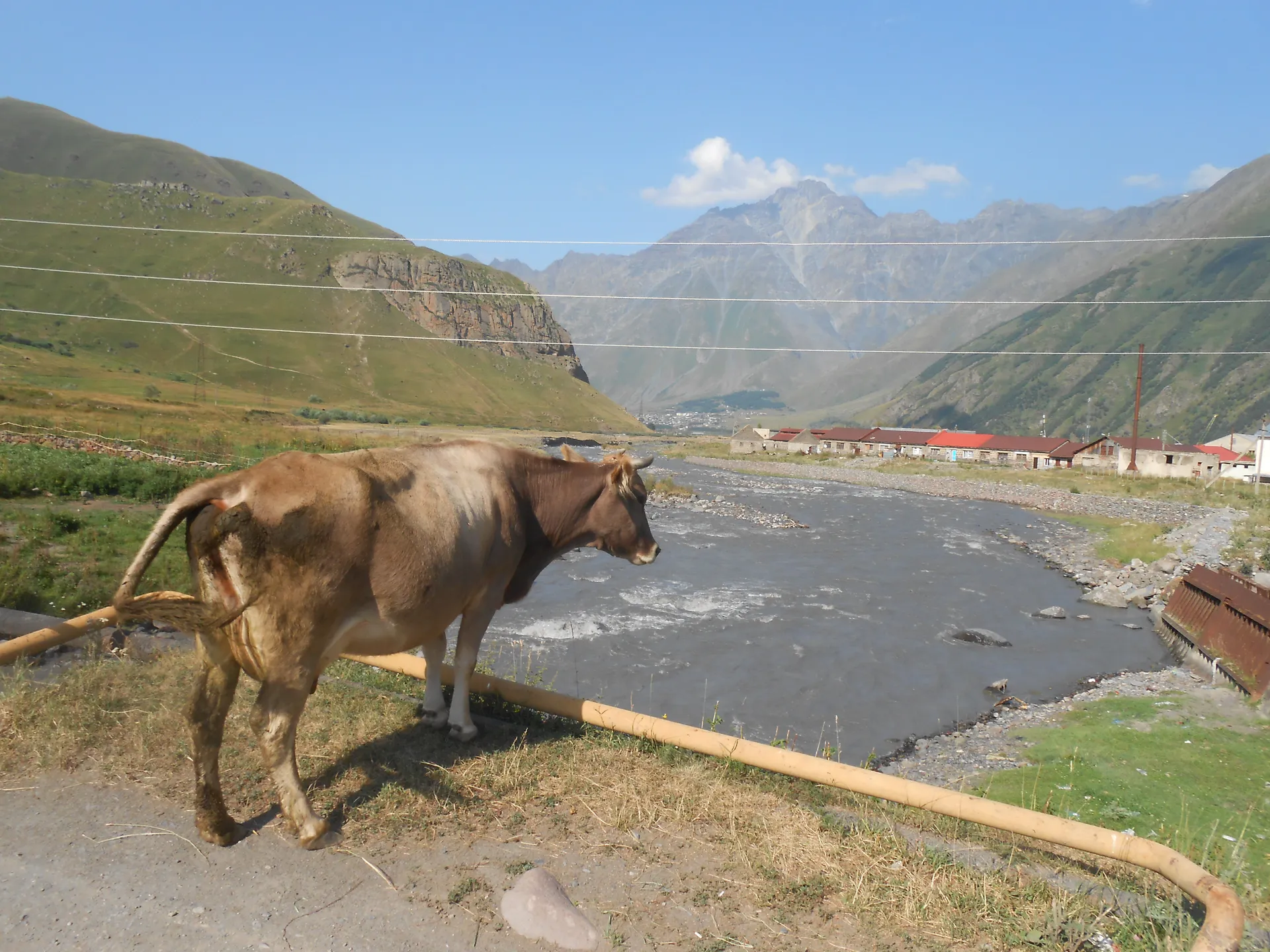 Gruzja