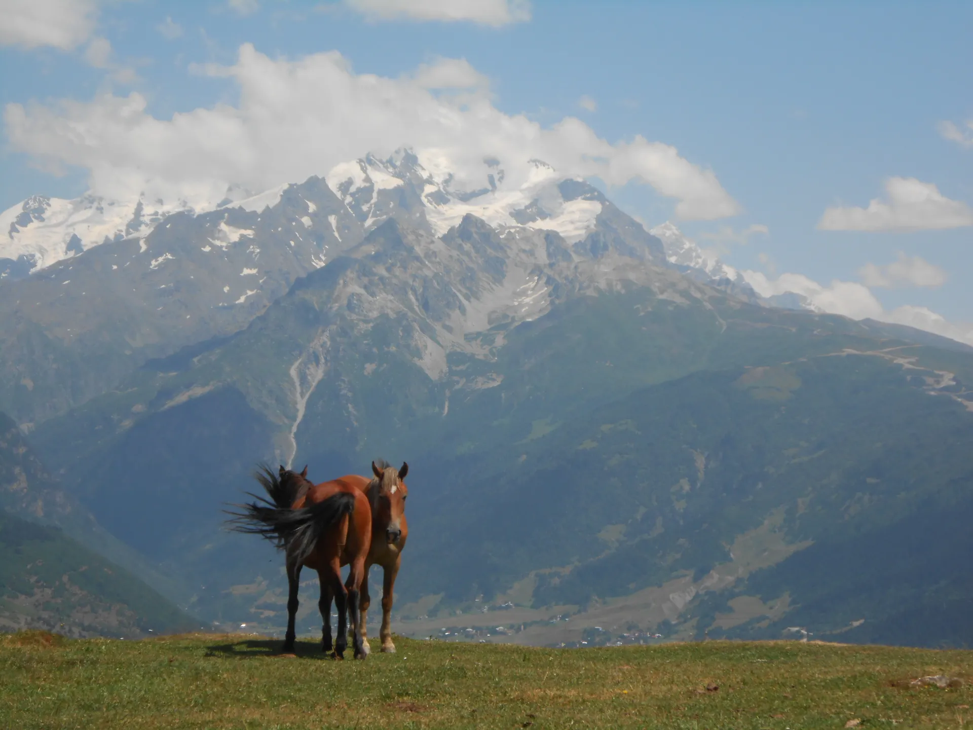 Gruzja