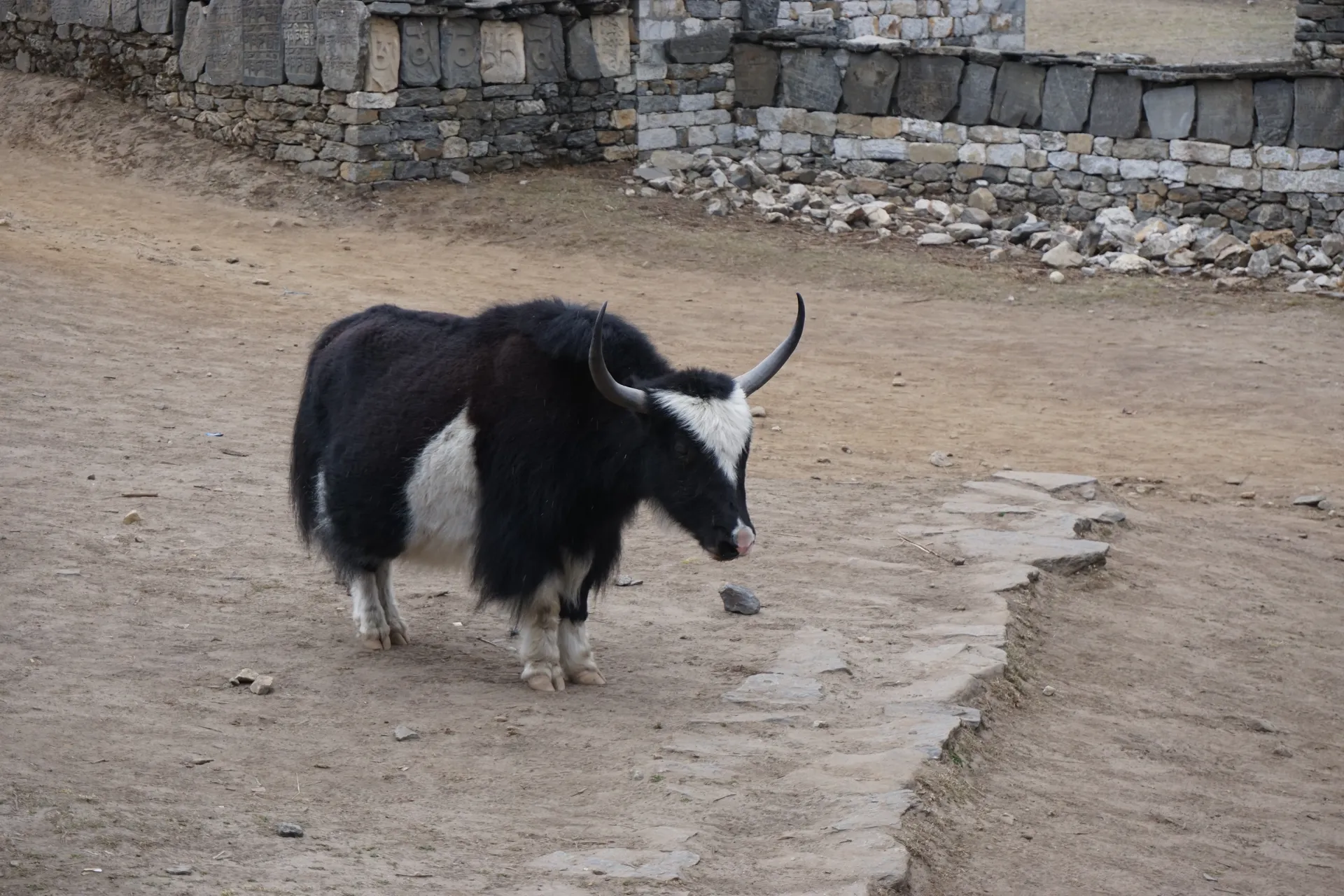 Nepal