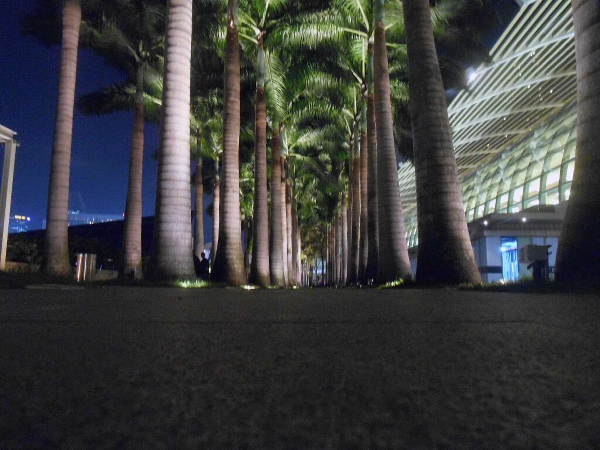 Singapur